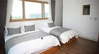 Eco Green Guesthouse 제주 대한민국